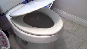 bemis adjule slow close toilet seat