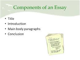 The Essay  Body  Conclusion  and Titles 