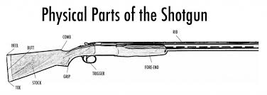 Gun Fitting Guide How To Fit A Shotgun To Yourself The