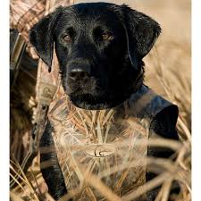 Details About Avery Sporting Dog Standard Hunting Neoprene Dog Parka Vest