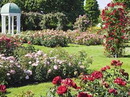 How To Grow A Cottage Garden Woman S