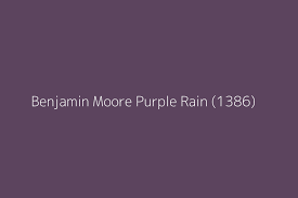 Benjamin Moore Purple Rain 1386 Color