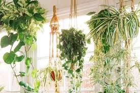 Wall Hanging Planters Top 10 Hanging