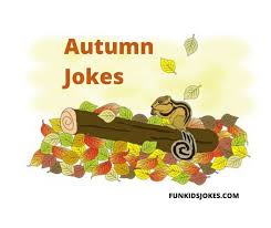 autumn jokes clean autumn jokes fun