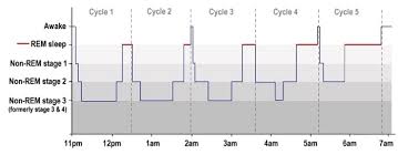 How Sleep Cycle Works Types Stages Of Sleep Cycle