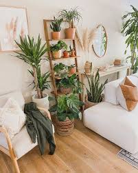 15 Plant Room Ideas For A Lush Leafy Oasis