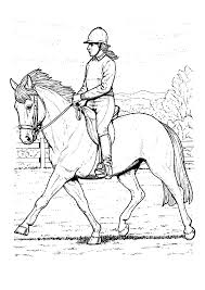 Klicken sie auf ein bild oder einen anzeigentitel, um weitere einzelheiten zu einem pferd zu erhalten. Ausmalbilder Pferde Mit Reiter
