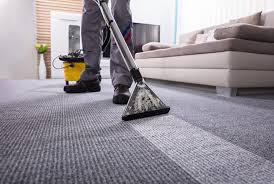 specialized carpet cleaning and