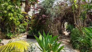 Secret Gardens In L A For A Serene Escape