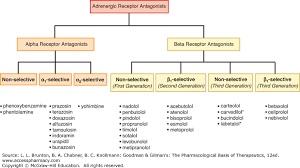 Adrenergic Agonists And Antagonists Goodman Gilmans