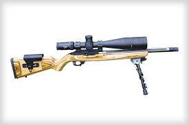 ruger 10 22 compeion at 300