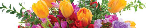 Local Floral Department & Flower Shop in CT & MA | Big Y