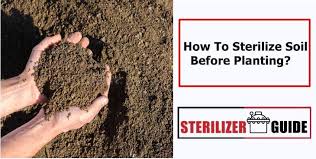How To Sterilize Soil Before Planting