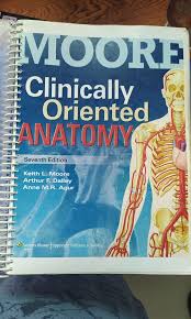 Moore Clinically Oriented Anatomy 7th