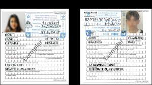 temporary lawful permanent residents