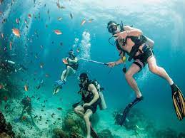 koh tao scuba diving course a one day