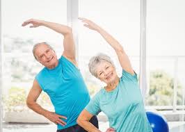 flexibility exercises for seniors a