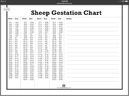 Sheep Gestation Chart Uk Www Bedowntowndaytona Com