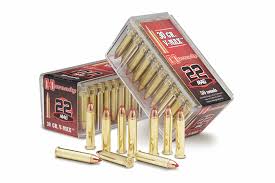 best 22 magnum ammo for hunting and