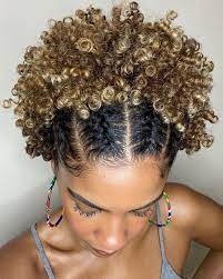23 beautiful braided updos for black hair. 50 Jaw Dropping Braided Hairstyles To Try In 2021 Hair Adviser