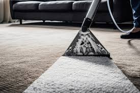 steam carpet cleaner images browse 1