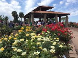 review of south texas botanical gardens