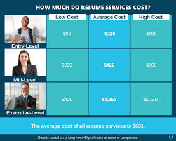 resume writing service costs [entry