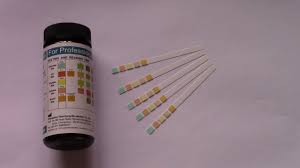 How To Read Urine Testing Strips Results What Can You Test For With A Urine Dip Test Strip