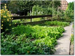 Vegetable Garden Fencing Ideas