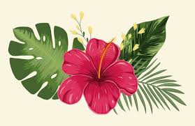 hawaiian flowers drawing images