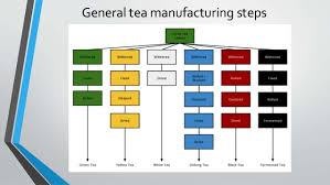Process Flow Chart Tea Processing