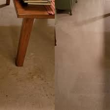 dbs carpet floor care 775 a
