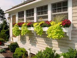 Charm Up Your House With Windowboxes