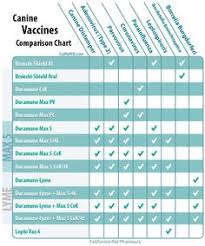 Shih Tzu Vaccination Schedule Philippines Goldenacresdogs Com