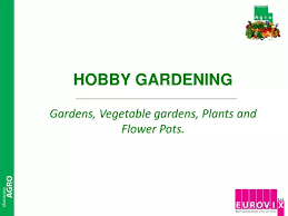 Ppt Hobby Gardening Gardens