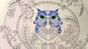 Ivy and the inky butterfly. Enchanted Forest Coloring Book Owl Part 1 Youtube