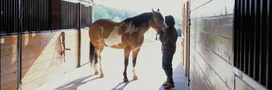 what are the most por horse barn sizes