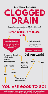 clogged drain expert advice home