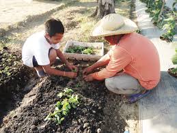 promote vegetable gardening