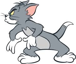 70 tom and jerry dp pic photo for