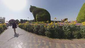 free dubai miracle garden videos