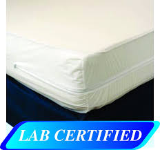 Sooner or later, the bed bugs will eventually die due to lack of food sources (you) or have no way to get out. Bed Bug Mattress Cover Uk Zippered Encasement