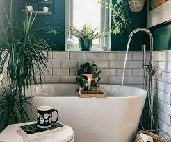 21 Best Plant Themed Bathroom Decors To