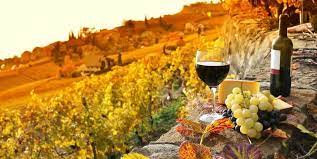 chianti super tuscan wine tour