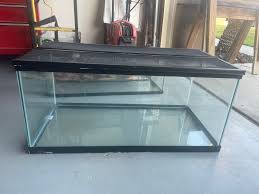 40 gallon breeder aquarium with screen