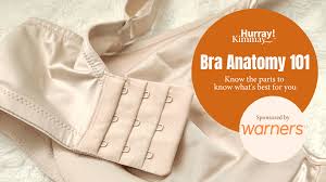 bra anatomy 101 know the parts to know
