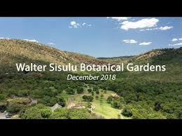 walter sisulu botanical gardens