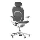 Ergonomic High Back Mesh Office Chair with Adjustable Soft Headrest & Arms Moustache
