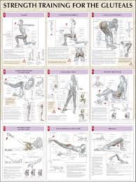 Strength Training For The Glutes Chart Fitness Stuff