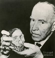 Image result for first artist's conception of the taung child